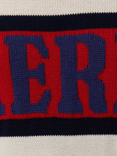 Load image into Gallery viewer, America Sweater - Ivory
